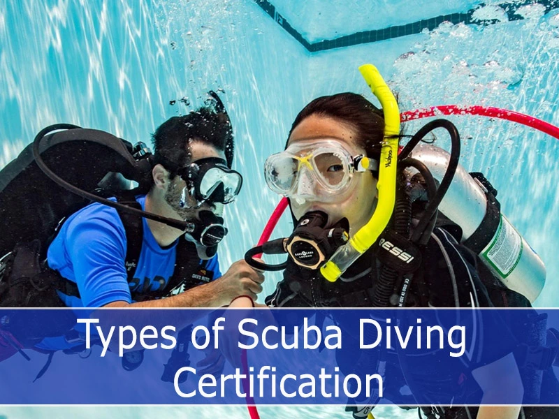 Types of Scuba Diving Certification