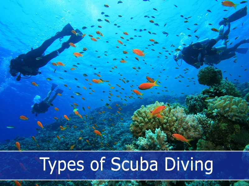 Types of Scuba Diving