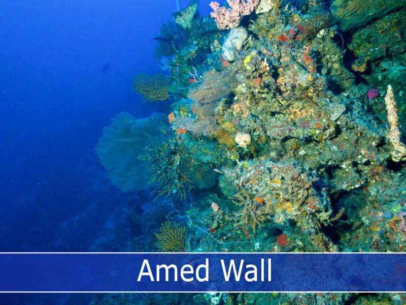 Amed Wall