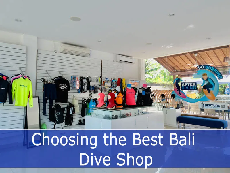 Choosing the Best Bali Dive Shop