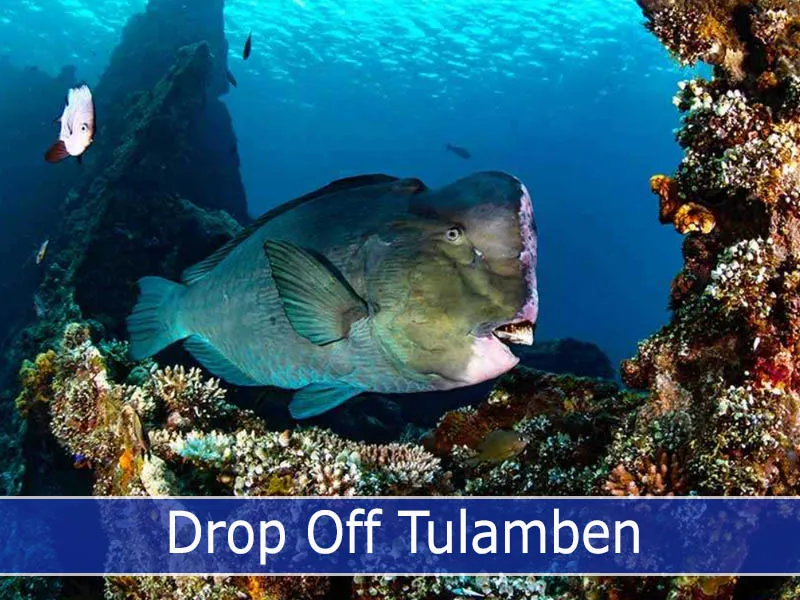 Drop Off Tulamben