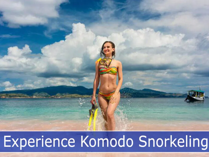 Experience Komodo Snorkeling
