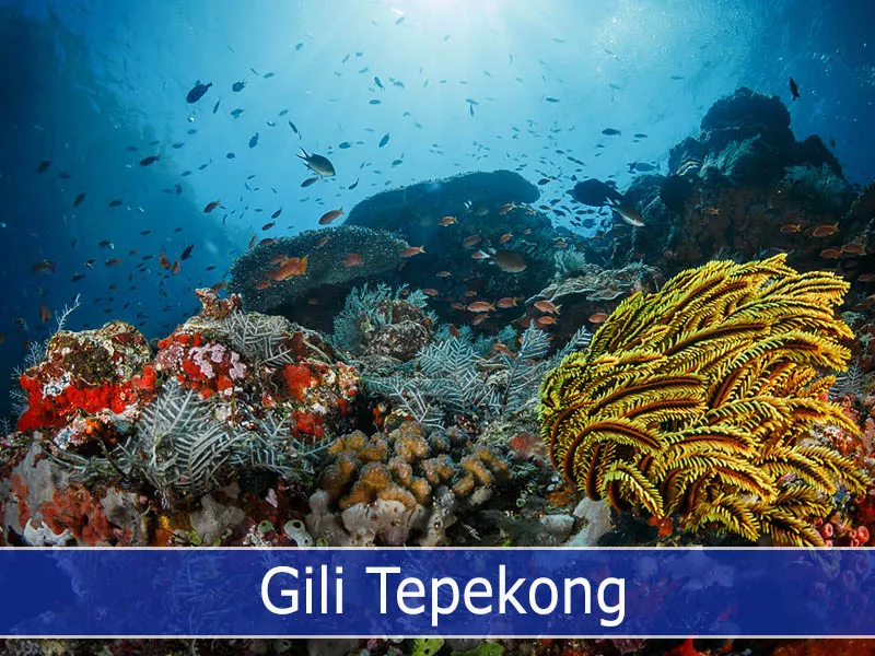 Gili Tepekong