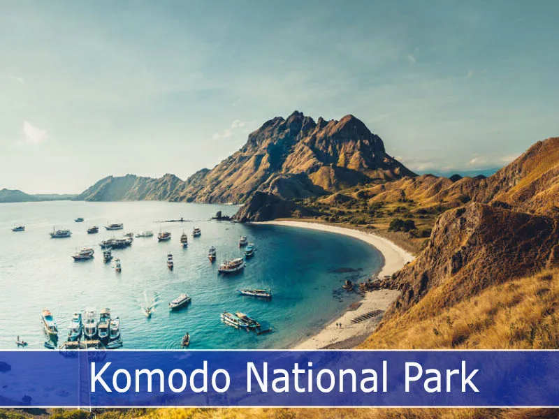 Komodo National Park