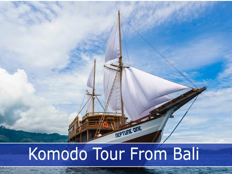 Komodo Tour From Bali