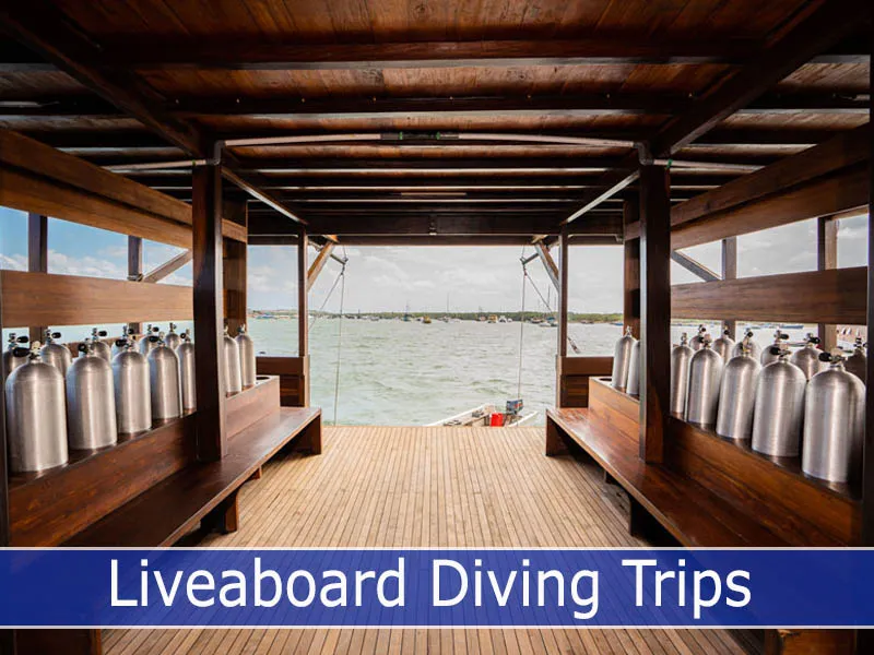 Liveaboard diving trips