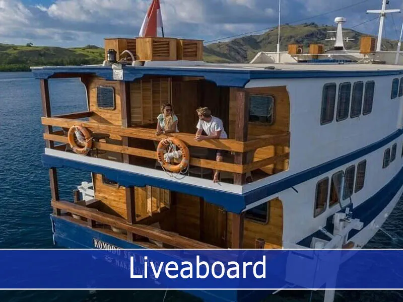 Liveaboard