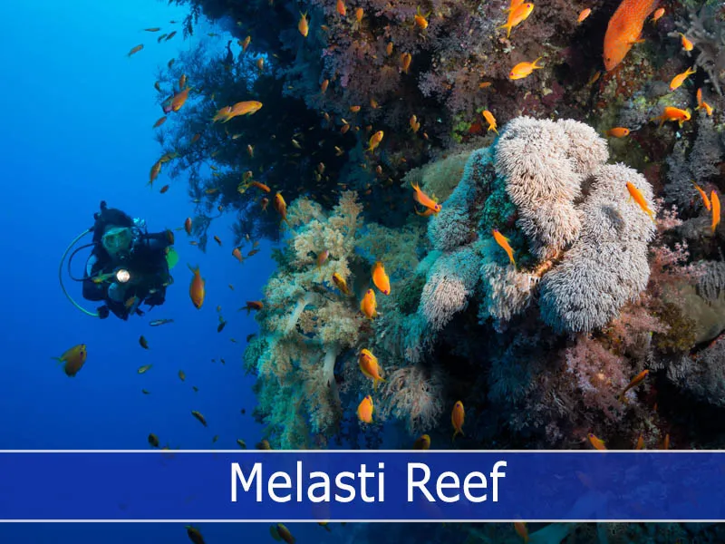 Melasti Reef