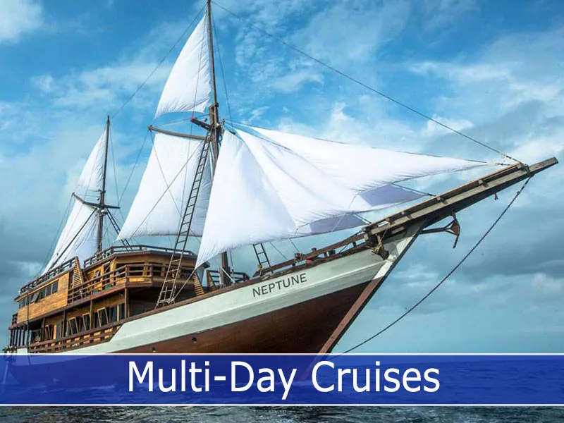 Multi-day cruises