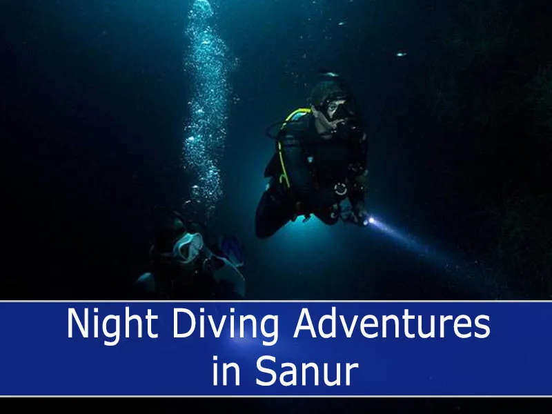Night Diving Adventures in Sanur