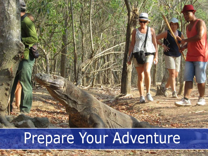 Prepare your adventure