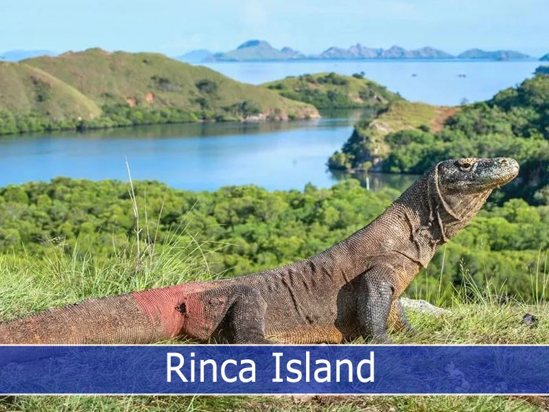 Rinca Island