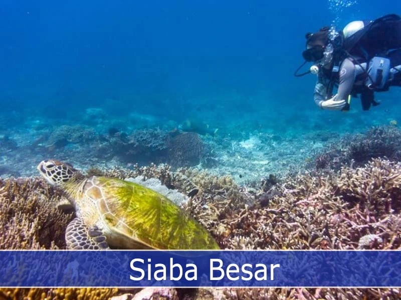 Siaba Besar