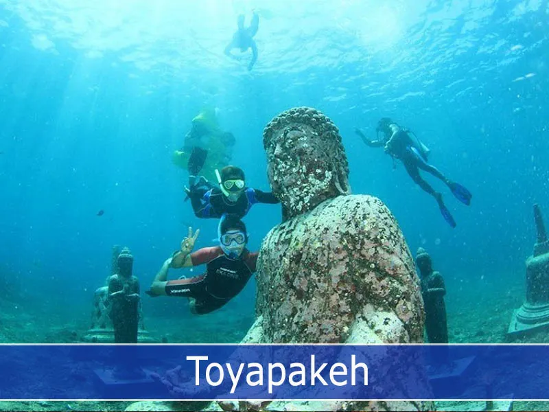 Toyapakeh