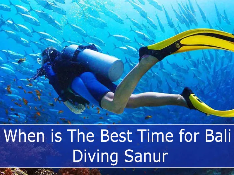 When is the best time for Bali diving Sanur