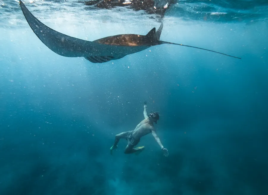 Snorkeling