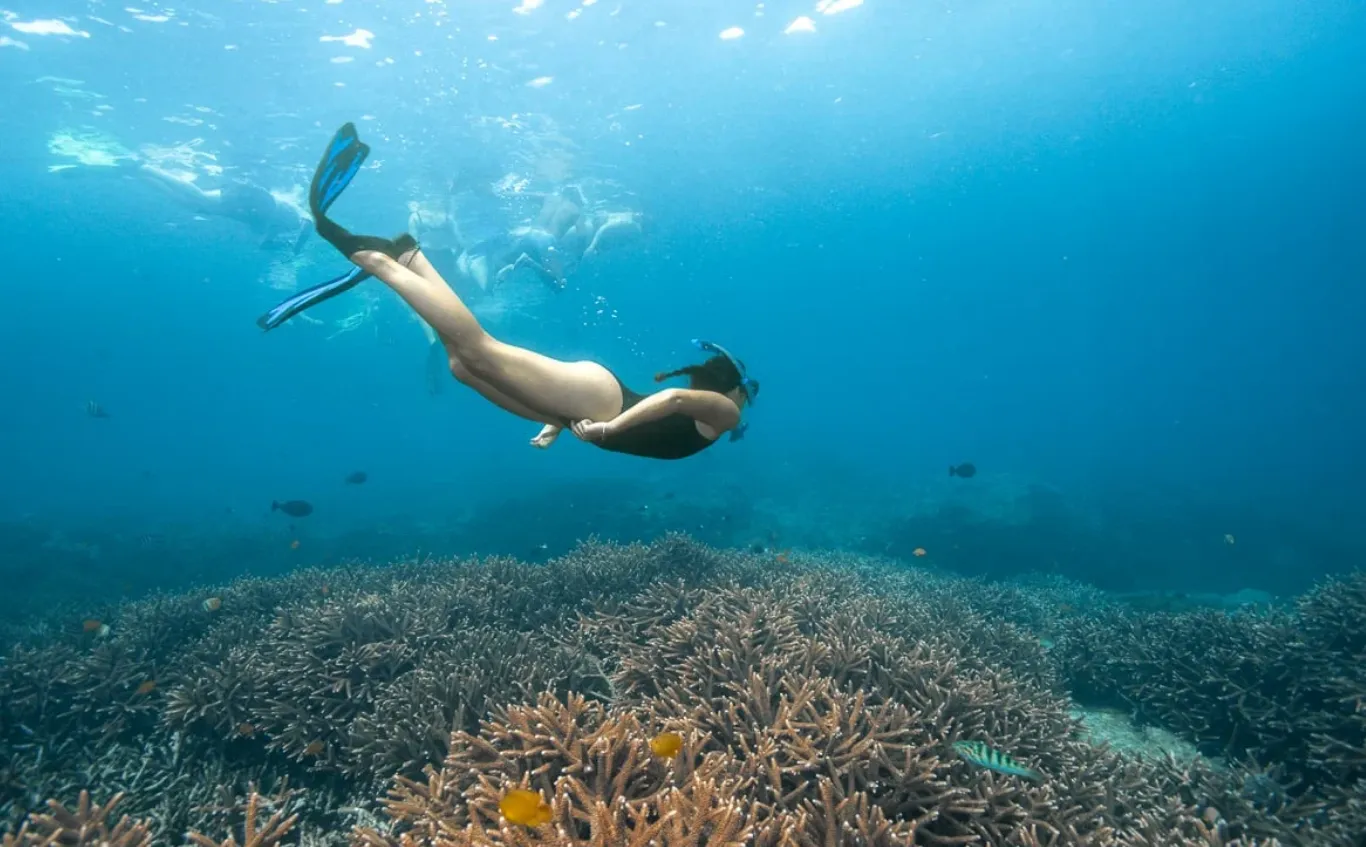 Crystal Bay Discover More Dive Sites in Nusa Penida